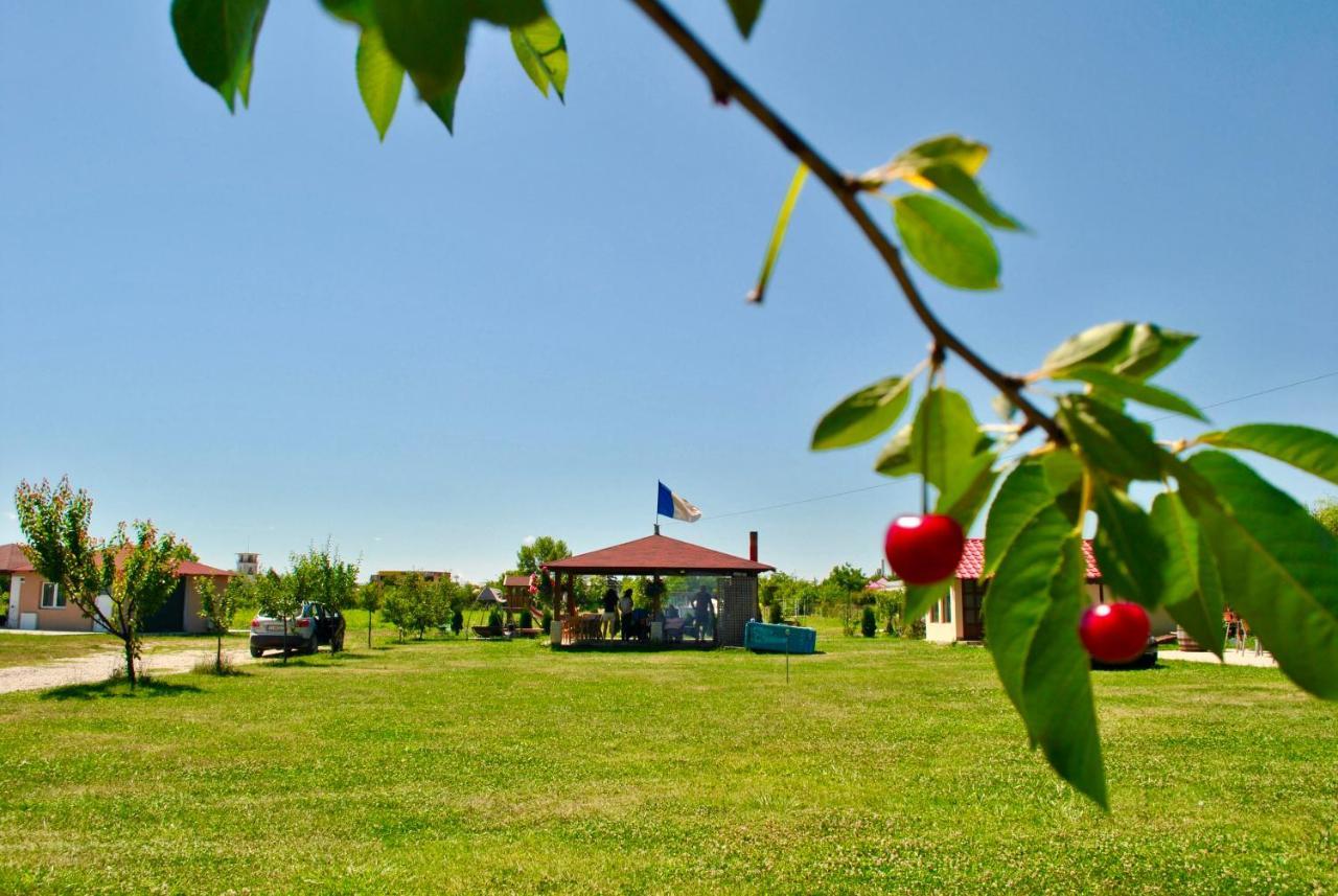 Camping La Foisor Turda Ngoại thất bức ảnh