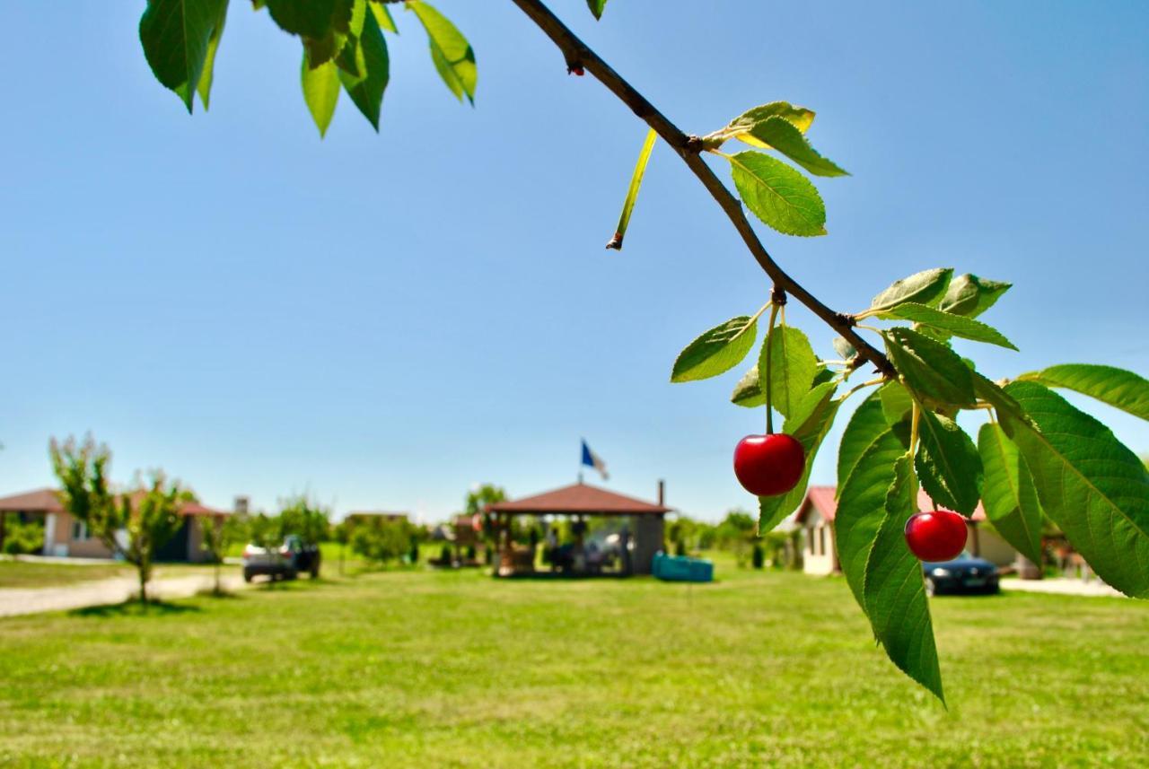 Camping La Foisor Turda Ngoại thất bức ảnh