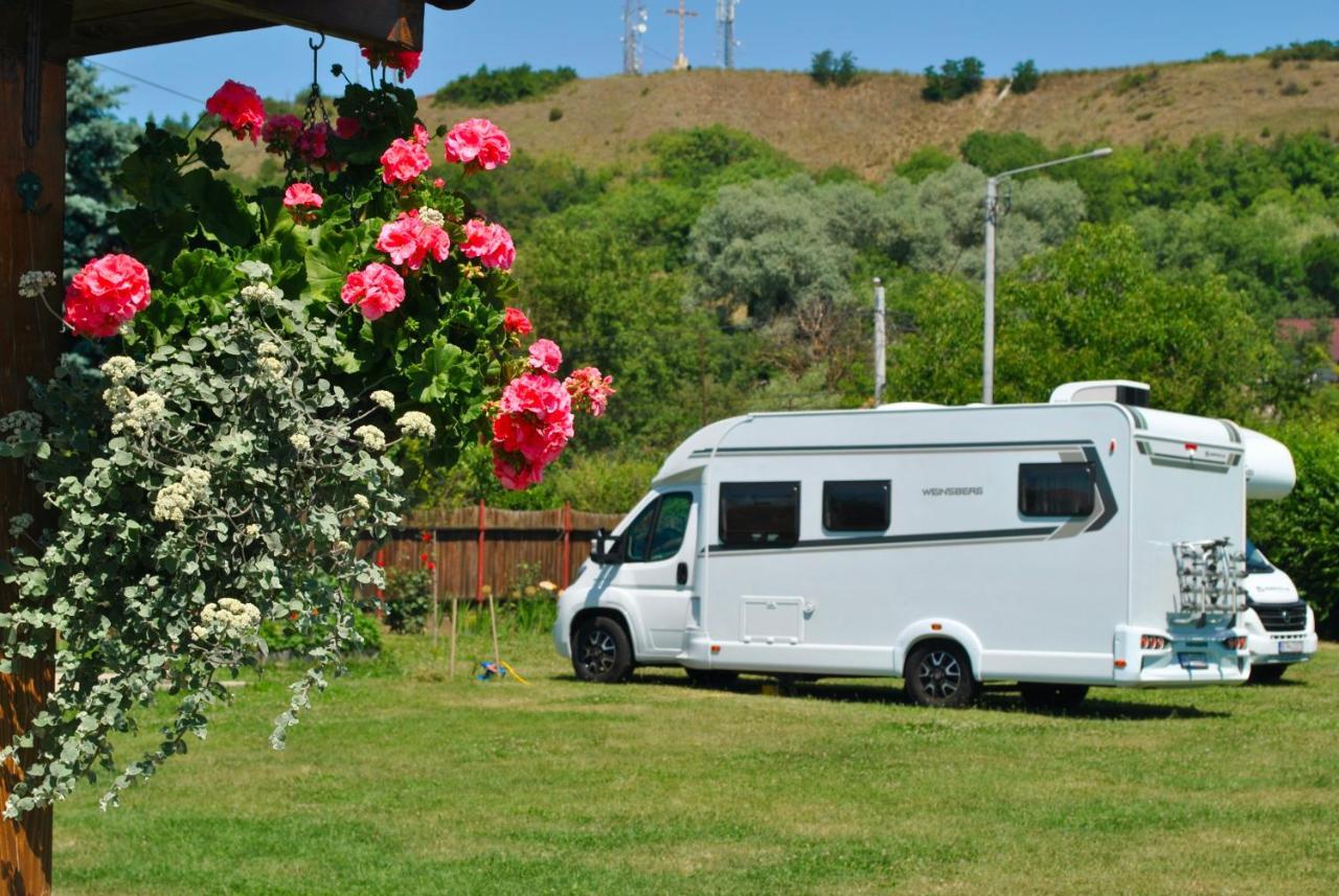 Camping La Foisor Turda Ngoại thất bức ảnh