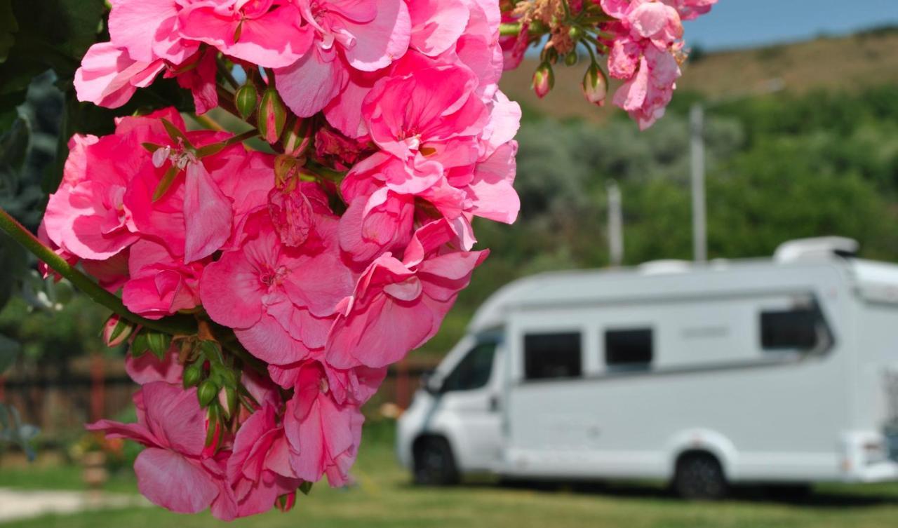 Camping La Foisor Turda Ngoại thất bức ảnh